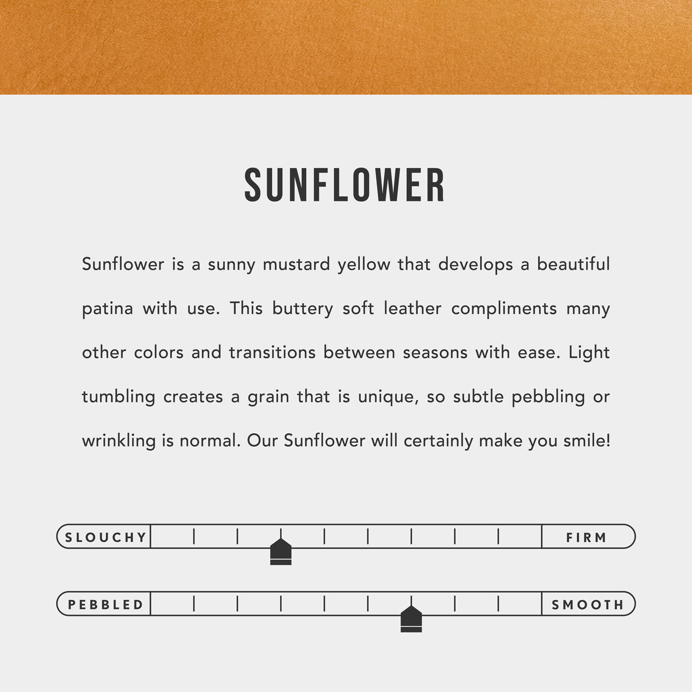 All color: Sunflower | infographic